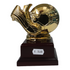 Trofeo Calcio Pallone e scarpa