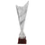 Coppa art. 627