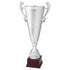 Coppa art. 650